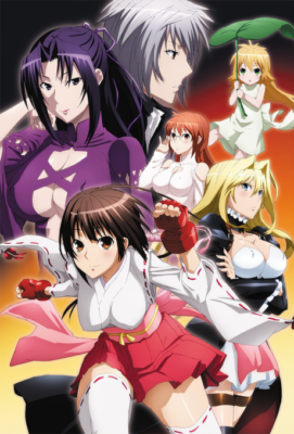 Sekirei: Pure Engagement Hindi Subbed